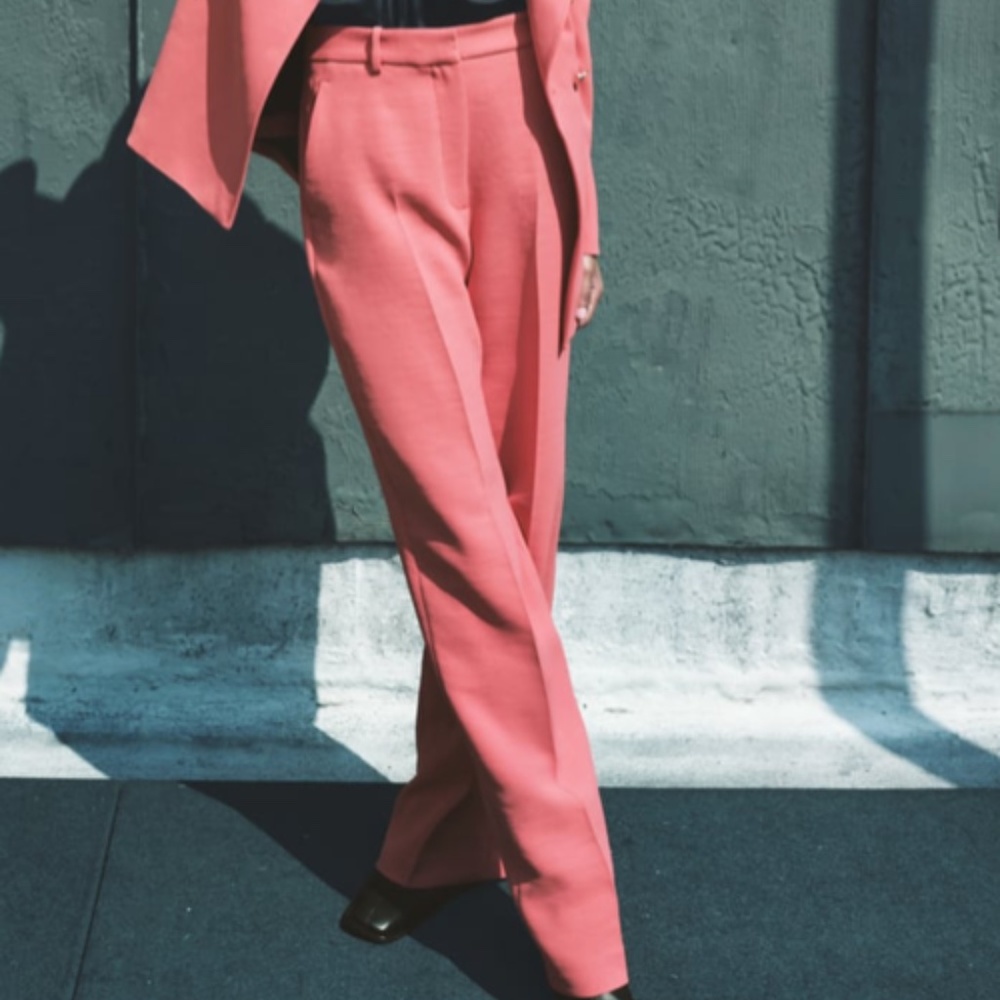 Zara Menswear Style Wide Leg Pants Pink